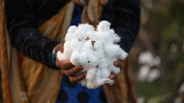 Khadi Clothing: Organic Cotton Clothing by Patagonia