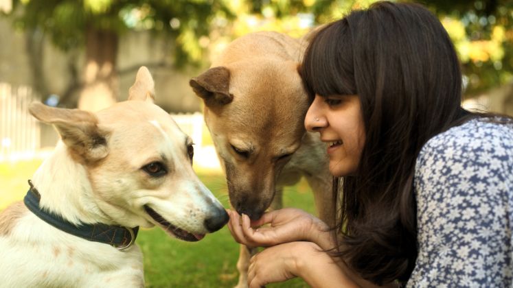 5 Indian pet care brands that are redefining how you pamper your