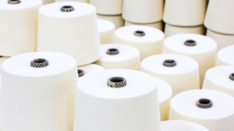 Indian cotton yarn industry projected to achieve revenue growth of 7-9 per cent this fiscal, says report | Cotton Yarn Industry