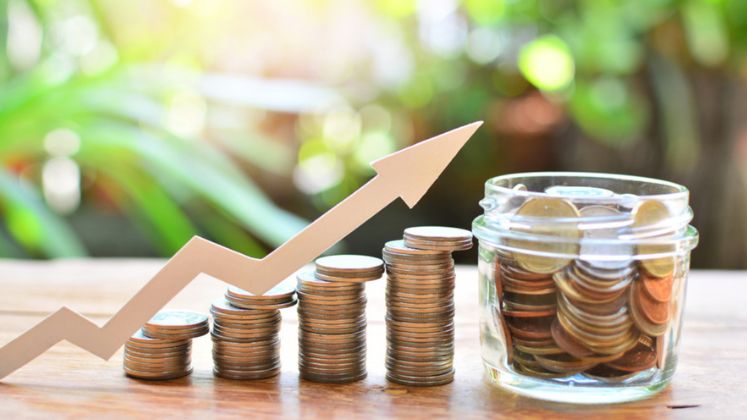 Minaxi Textiles narrows losses despite sharp decline in sales for Q4 and FY '25