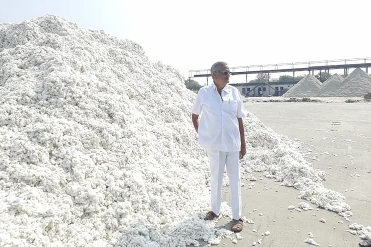 Cotton output for 2024-25 trimmed by CAI; seeks policy reform