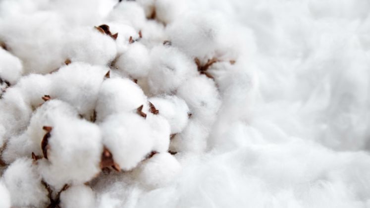 India seeks WTO consultations with Indonesia on cotton yarn safeguard measures | Apparel Trade News
