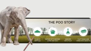 Packaging Gets A Green Makeover: Elephant Poo Makes Its Mark