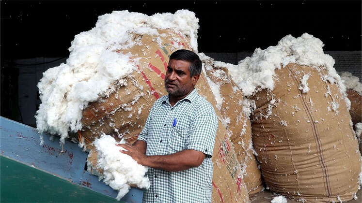 Textile Sector News Textile Sector News