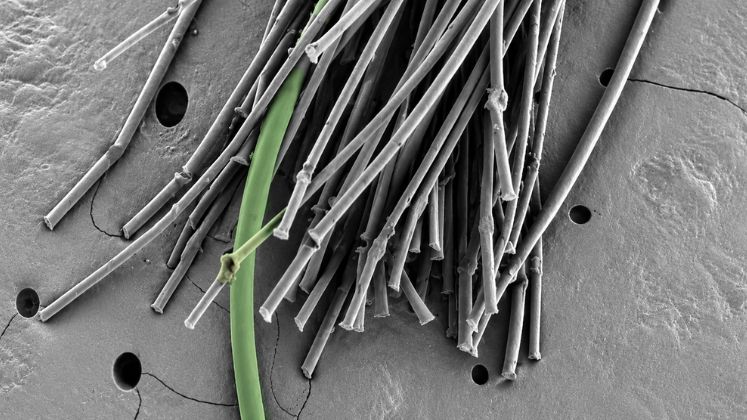 MIT Engineers Develop Recyclable Stretch Yarn to Replace Spandex MIT Engineers Develop Recyclable Stretch Yarn to Replace Spandex